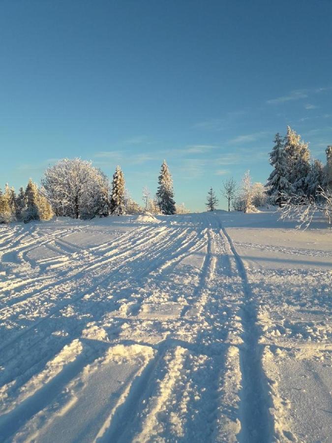Stara Chalpa Ozna Villa Sól Buitenkant foto