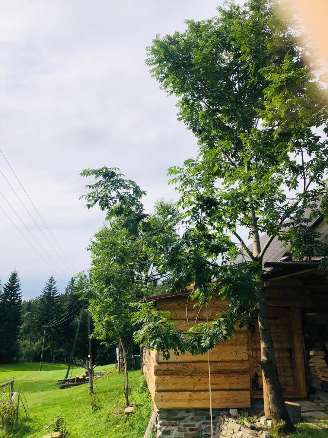Stara Chalpa Ozna Villa Sól Buitenkant foto